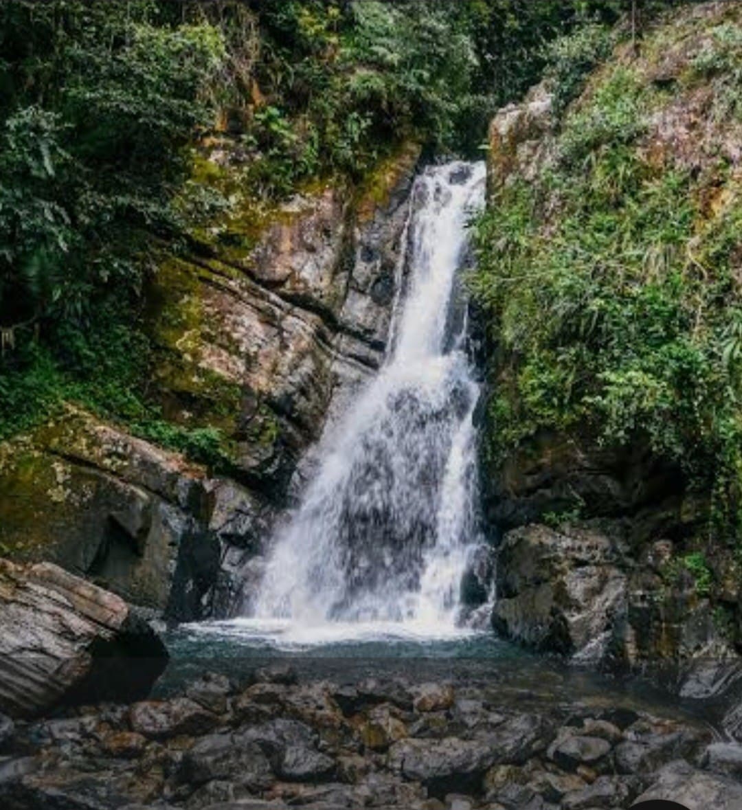 La Mina Falls in El Yunque National Rainforest