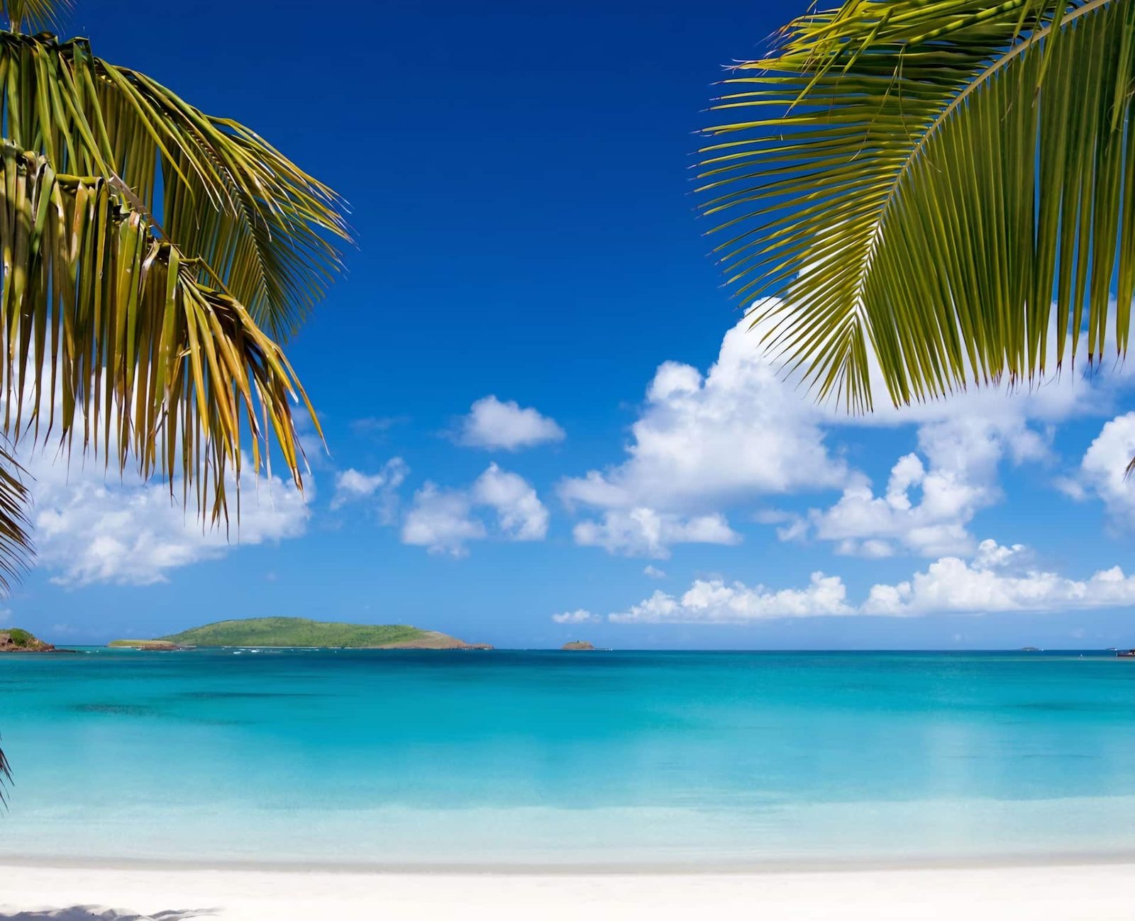 Turquoise Horizons